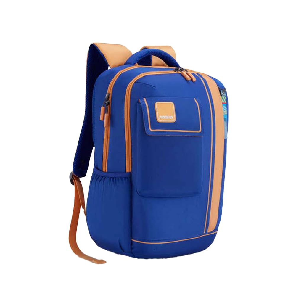 51llaozxgbl. sl1000 